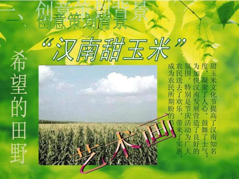 2008汉南玉米节计划全案_第2页