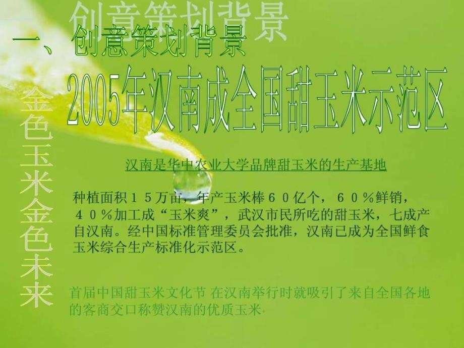 2008汉南玉米节计划全案_第3页