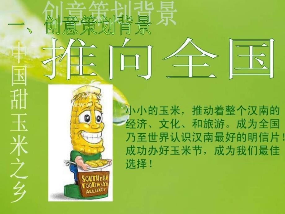 2008汉南玉米节计划全案_第4页
