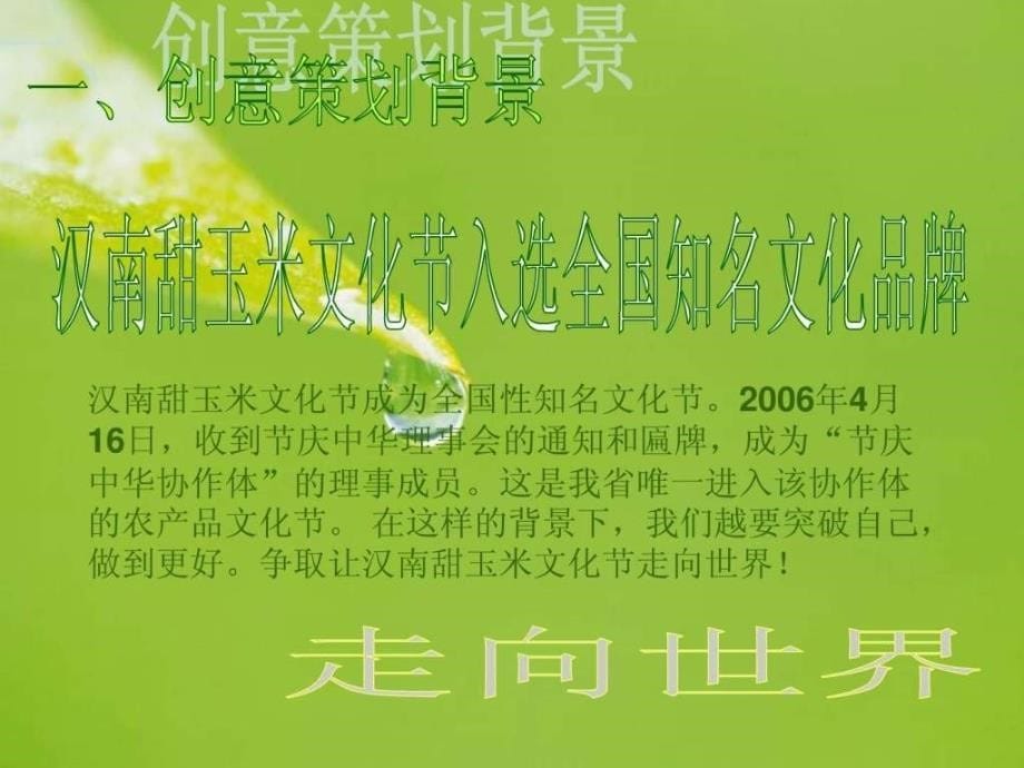 2008汉南玉米节计划全案_第5页
