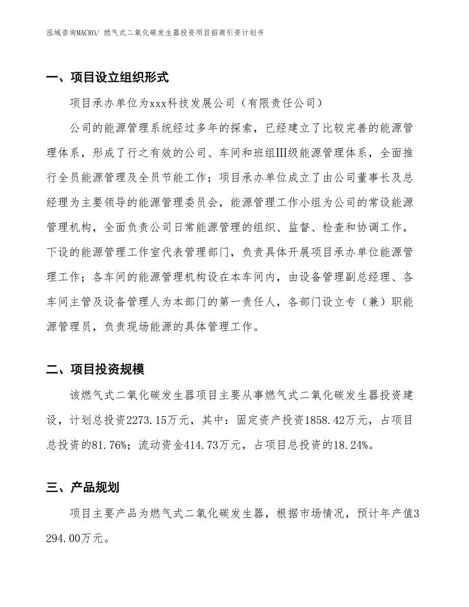 燃气式二氧化碳发生器投资项目招商引资计划书_第5页