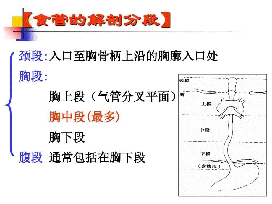 食管癌病人的护理_3课件_第5页