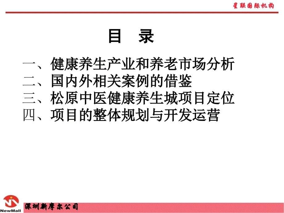 2011年8月松原中医健康养生城项目策划初步方案_第5页