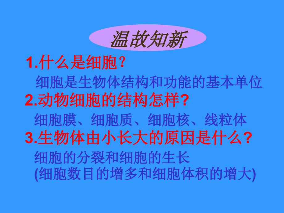 河北省平泉四海中学七年级生物上册2.2.2动物体的结构层次幻灯片_第2页