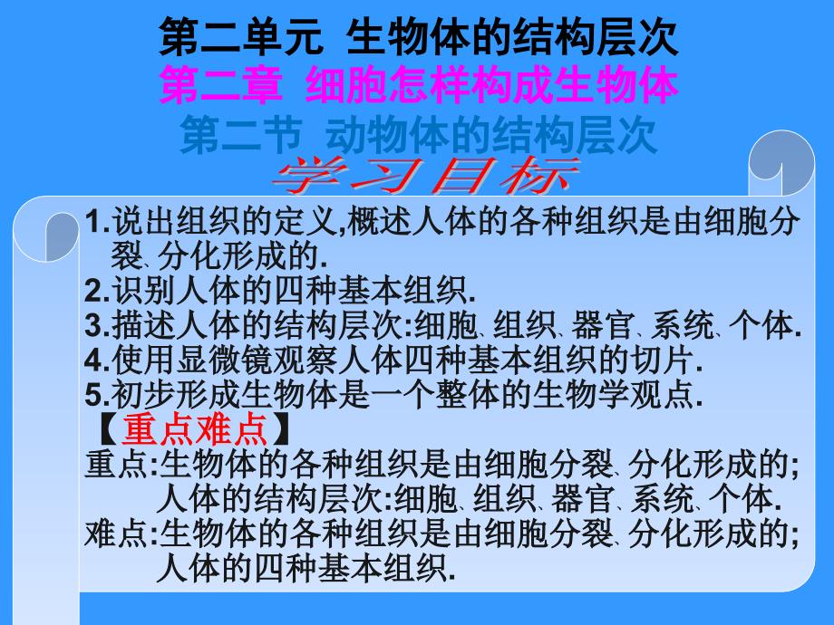 河北省平泉四海中学七年级生物上册2.2.2动物体的结构层次幻灯片_第3页