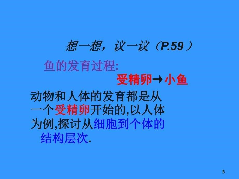 河北省平泉四海中学七年级生物上册2.2.2动物体的结构层次幻灯片_第5页