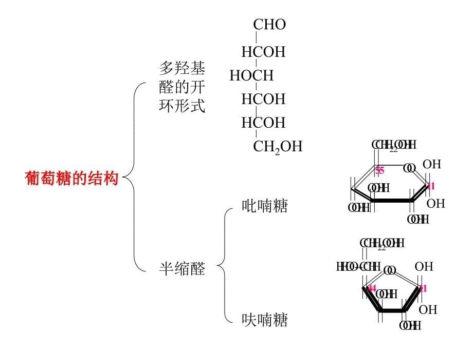 南京农业大学生化课件糖类的结构与功能_第5页