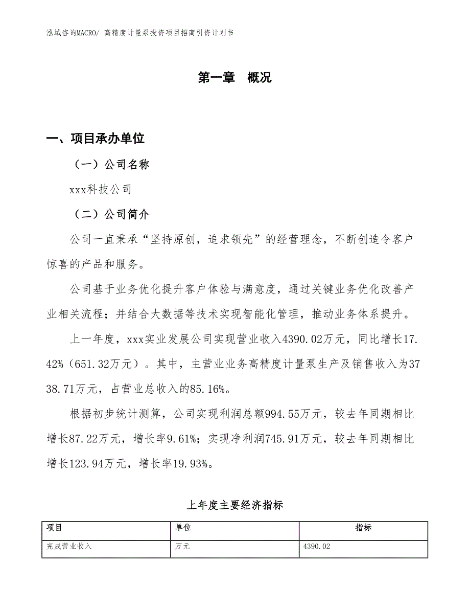 高精度计量泵投资项目招商引资计划书_第1页