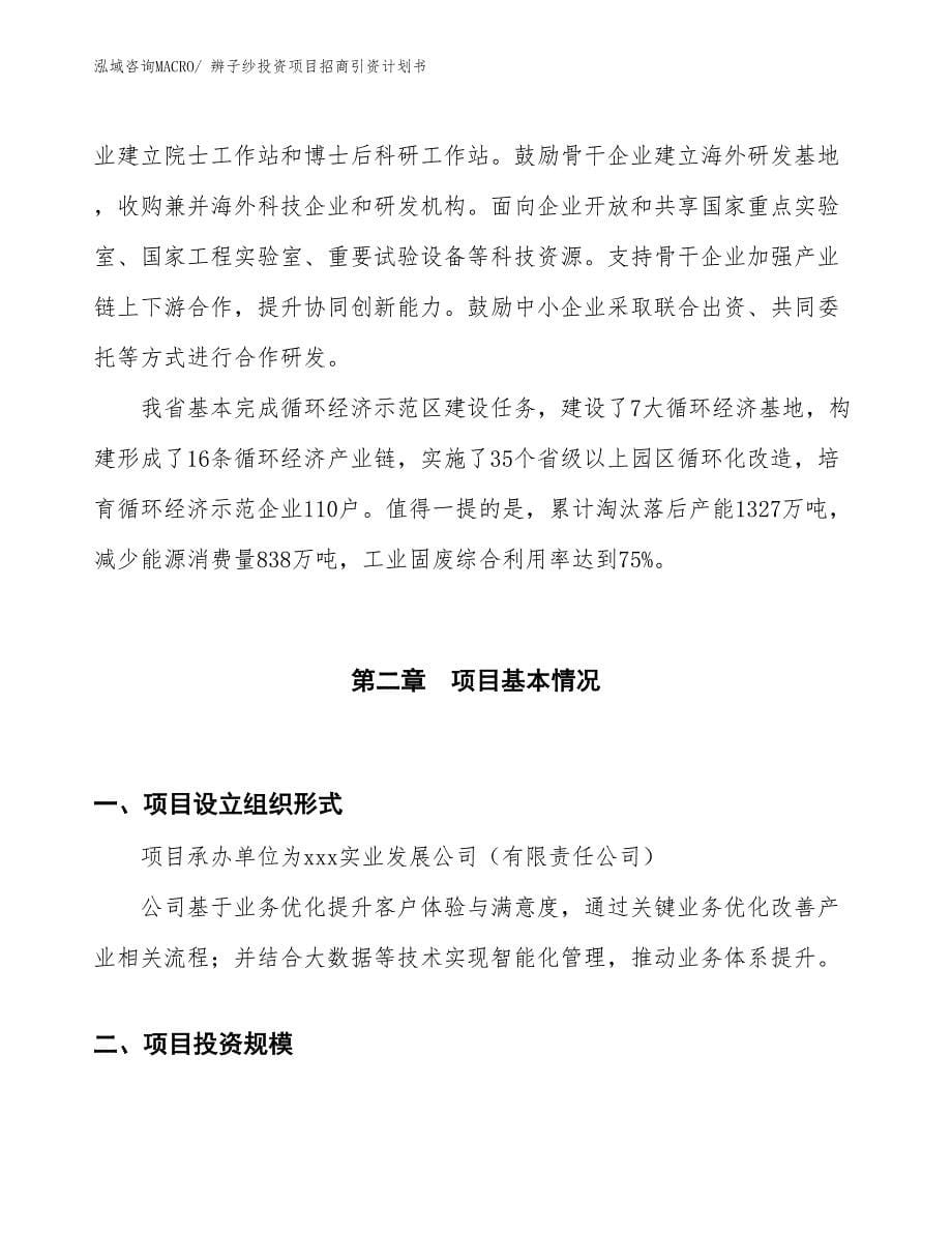 辨子纱投资项目招商引资计划书_第5页