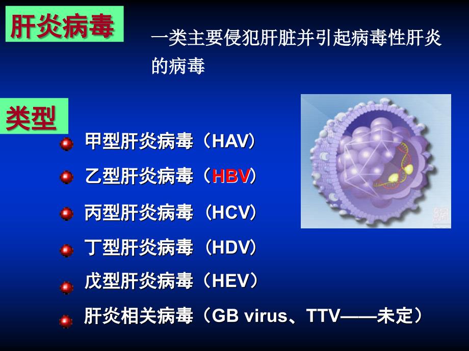 病原微生物第28章-肝炎病毒_第3页