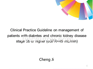 2015年欧洲肾脏最佳临床实践关于糖尿病合并慢性肾脏病3b期或更高阶段临床管理指南