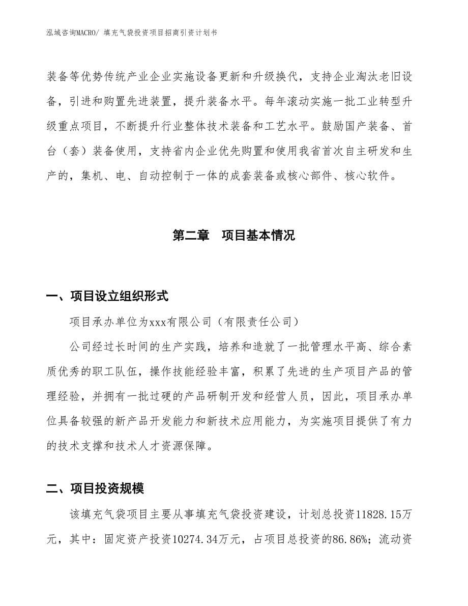 填充气袋投资项目招商引资计划书_第5页