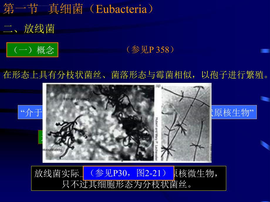 沈萍微生物幻灯片第3章b_第4页