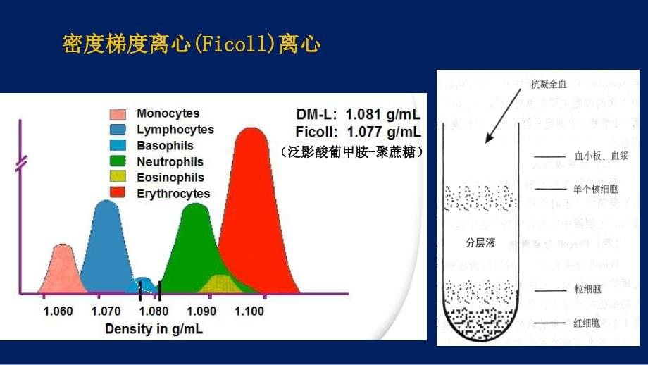 2014免疫学检验与临床应用参考_第5页