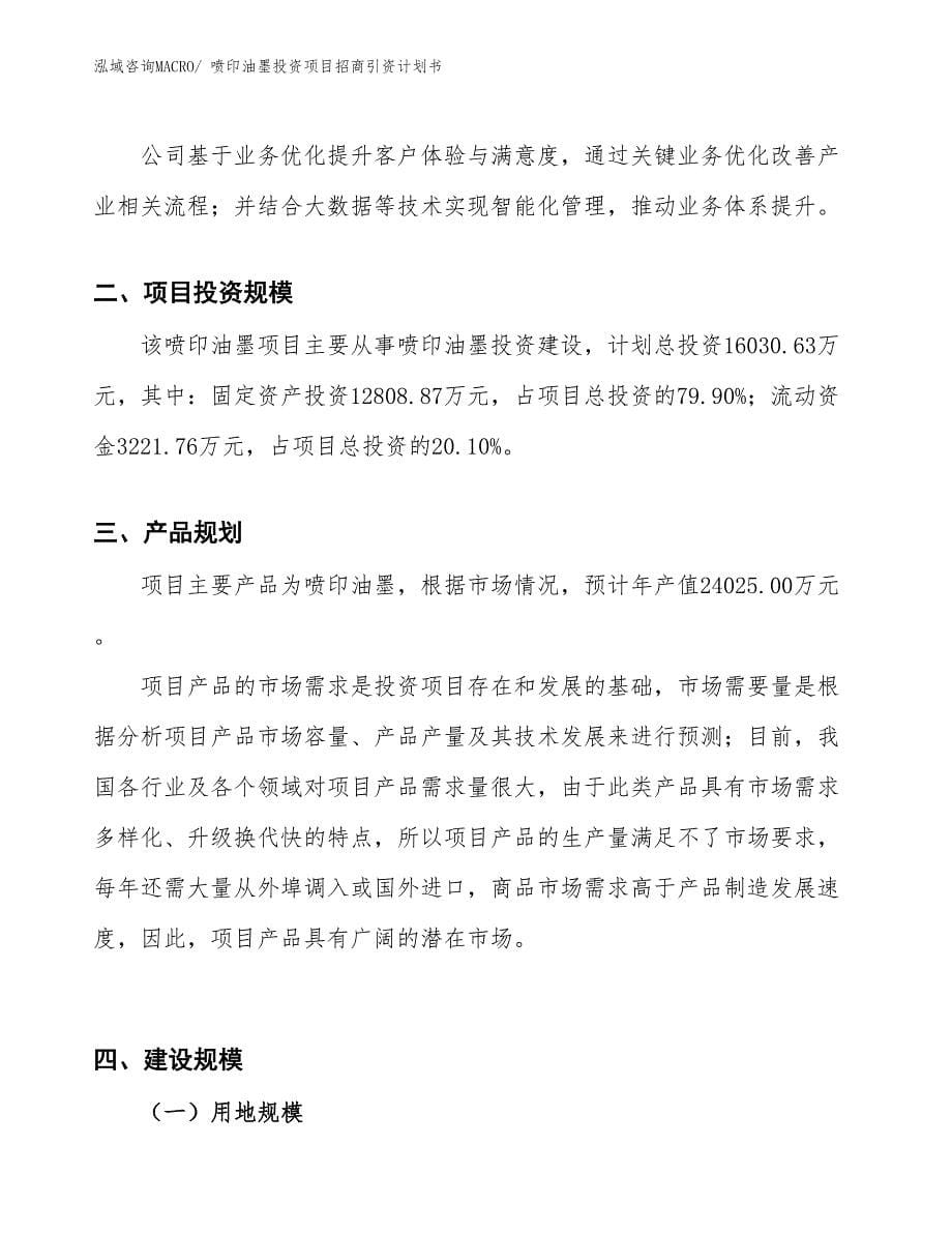 喷印油墨投资项目招商引资计划书_第5页