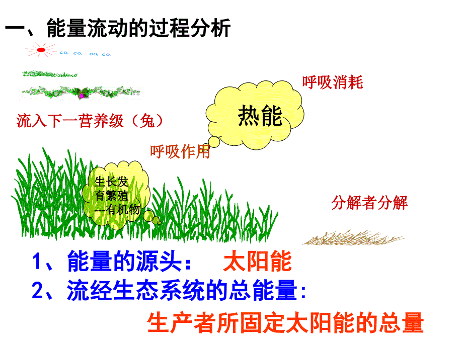 山东省私立青岛育贤中学高中生物人教版必修3第5章第2节《生态系统的能量流动》课件(共37张ppt)_第4页