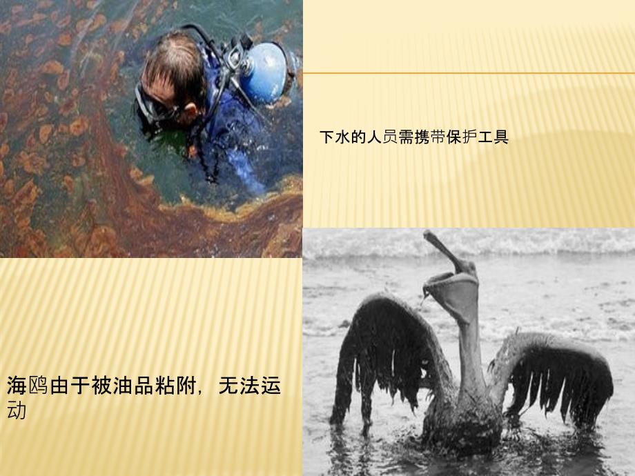 渤海湾漏油事故分析_第4页