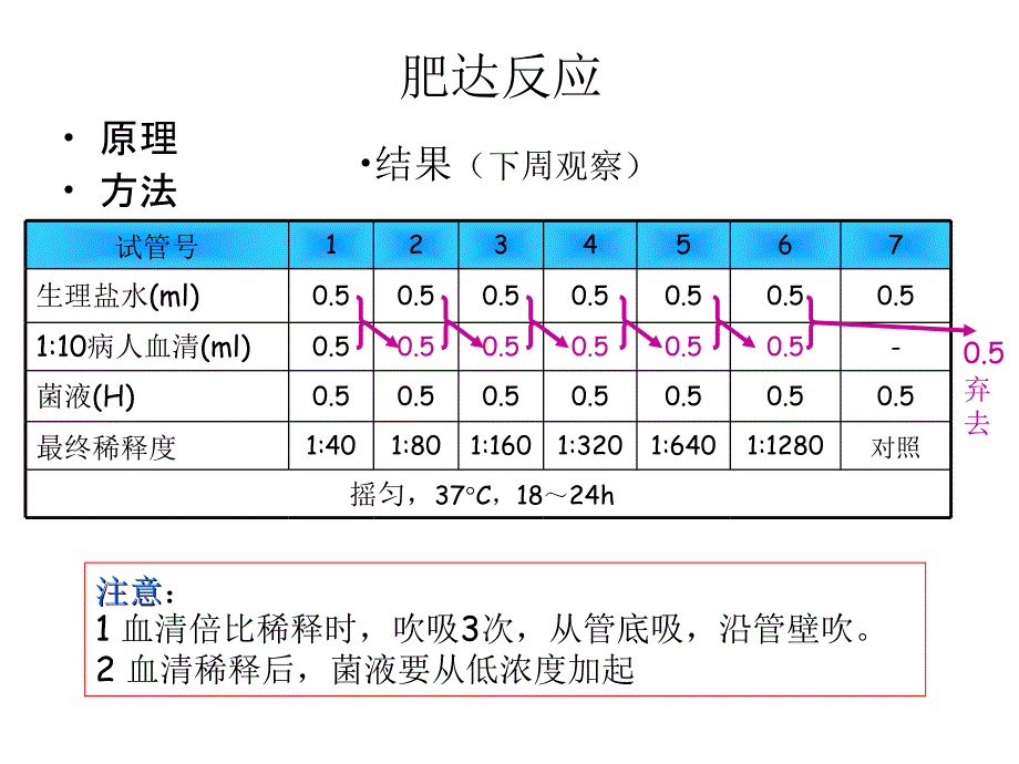 医学免疫学-医学免疫学实验2课件_第3页