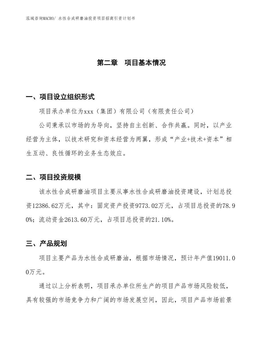 水性合成研磨油投资项目招商引资计划书_第5页