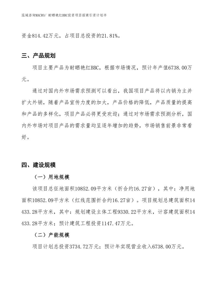 耐晒艳红BBC投资项目招商引资计划书_第5页