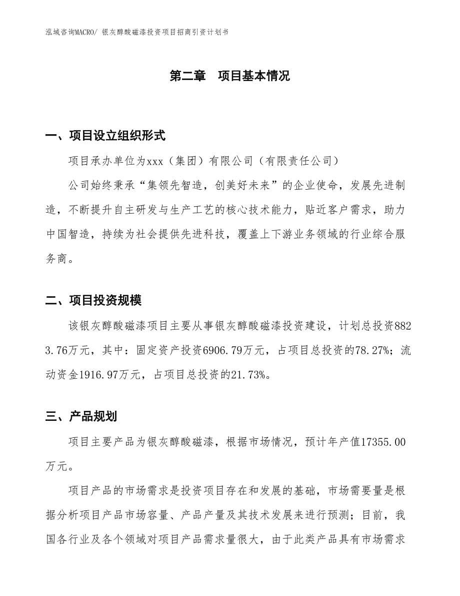 银灰醇酸磁漆投资项目招商引资计划书_第5页