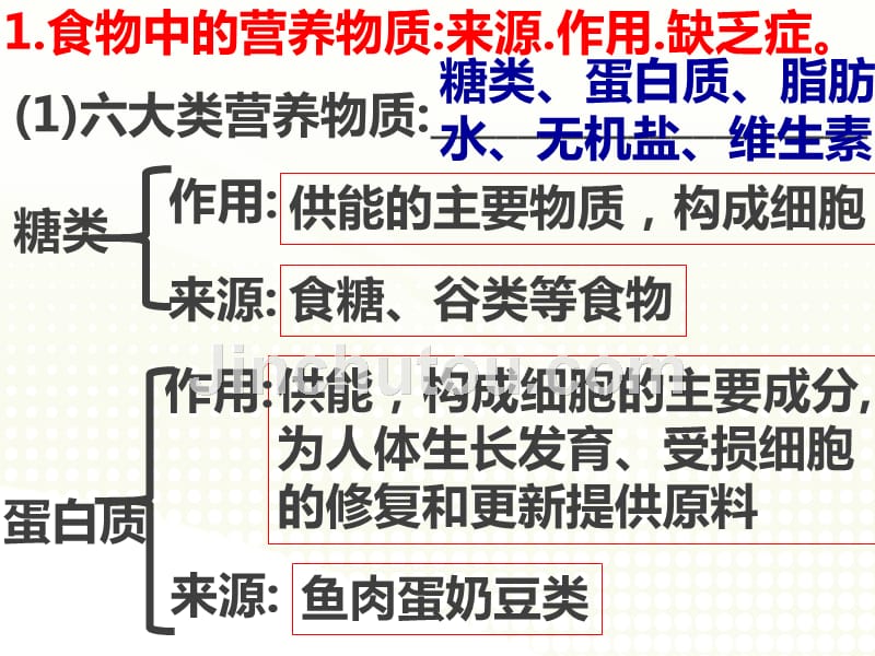 人体的营养复习课件_4_第2页