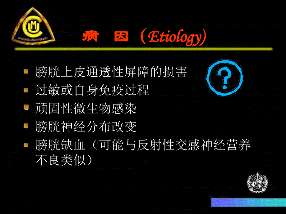 间质性膀胱正文课件_第3页