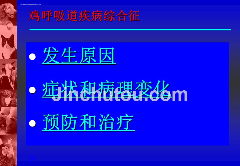 鸡的呼吸道疾病课件_第2页