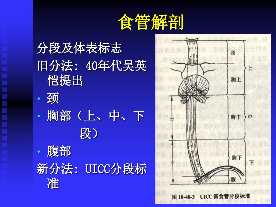 食道癌术后护理课件_第3页