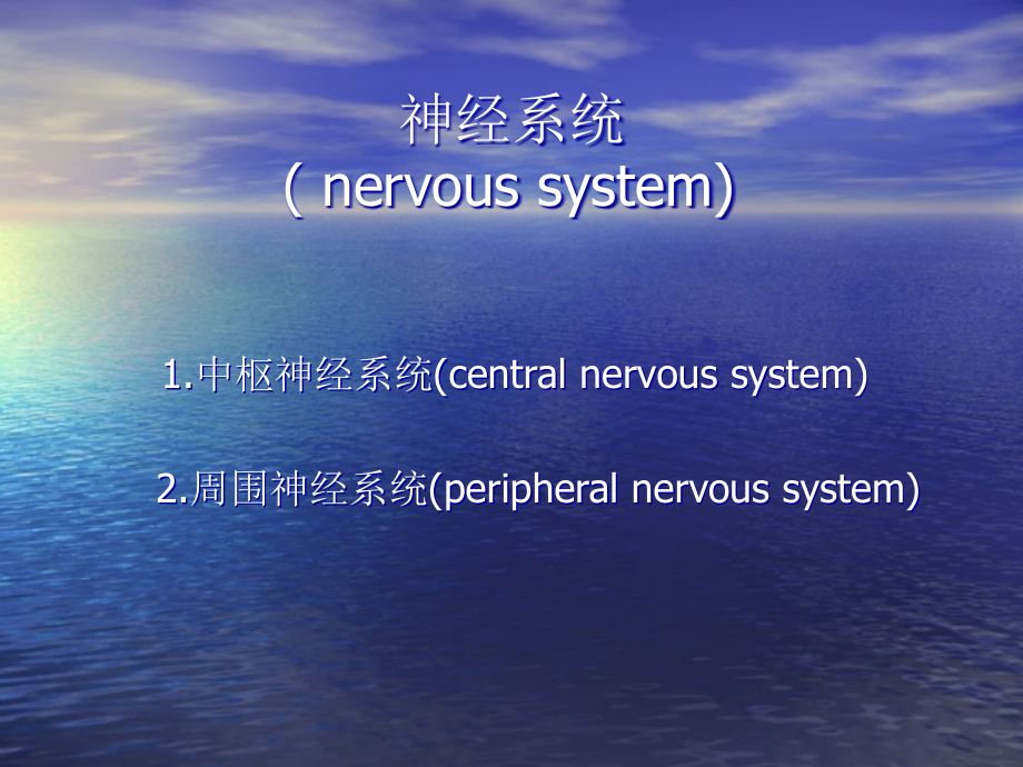 内科-神经内科-神经系统的体表定位课件_第2页
