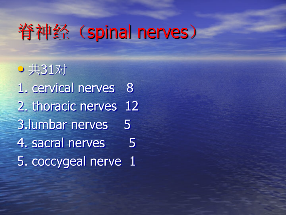 内科-神经内科-神经系统的体表定位课件_第4页
