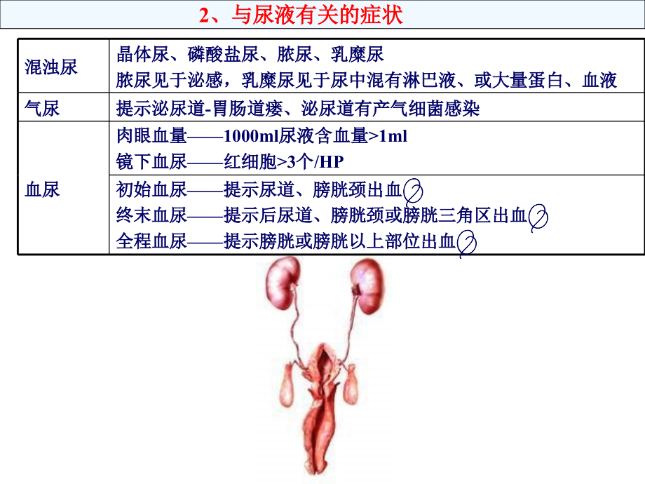 2007年考研泌尿及胸外科--贺银成_第4页