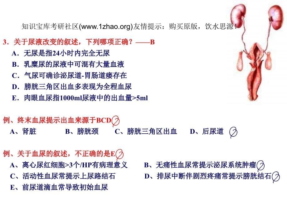 2007年考研泌尿及胸外科--贺银成_第5页