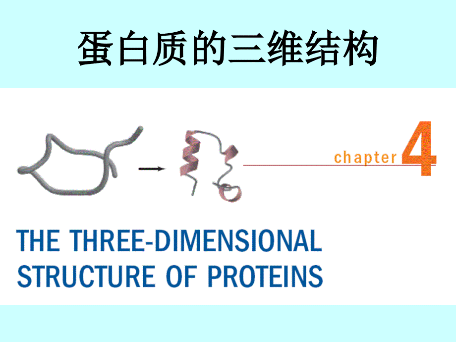 北大生物化学完整课件chapter4-3_第1页