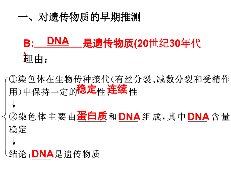 必修2一轮复习dna是主要的遗传物质课件_第3页