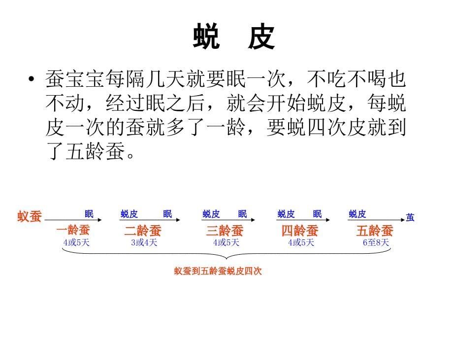 2、蚕的生长变化_第5页