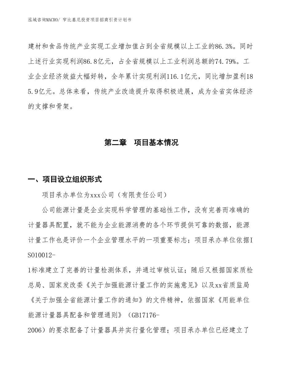 窄比基尼投资项目招商引资计划书_第5页