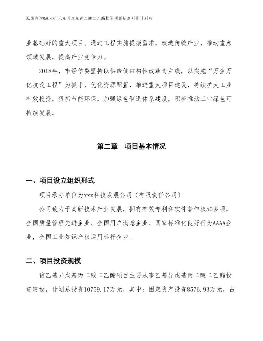 乙基异戊基丙二酸二乙酯投资项目招商引资计划书_第5页