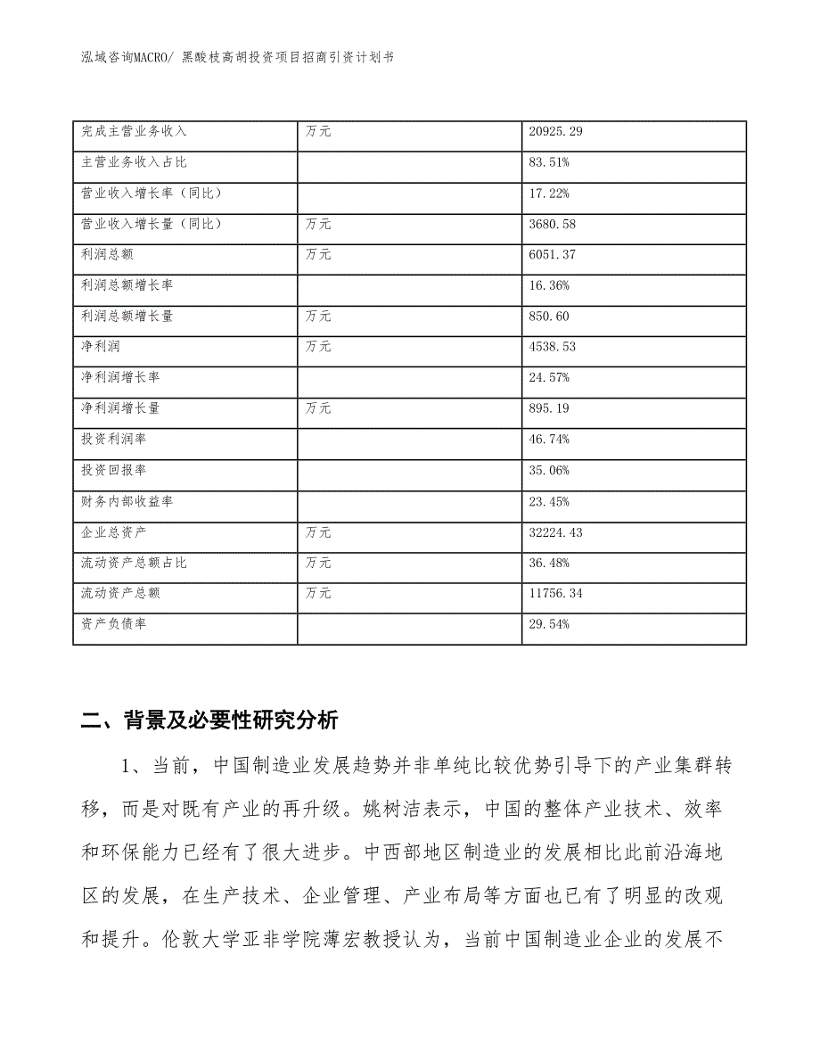 黑酸枝高胡投资项目招商引资计划书_第2页