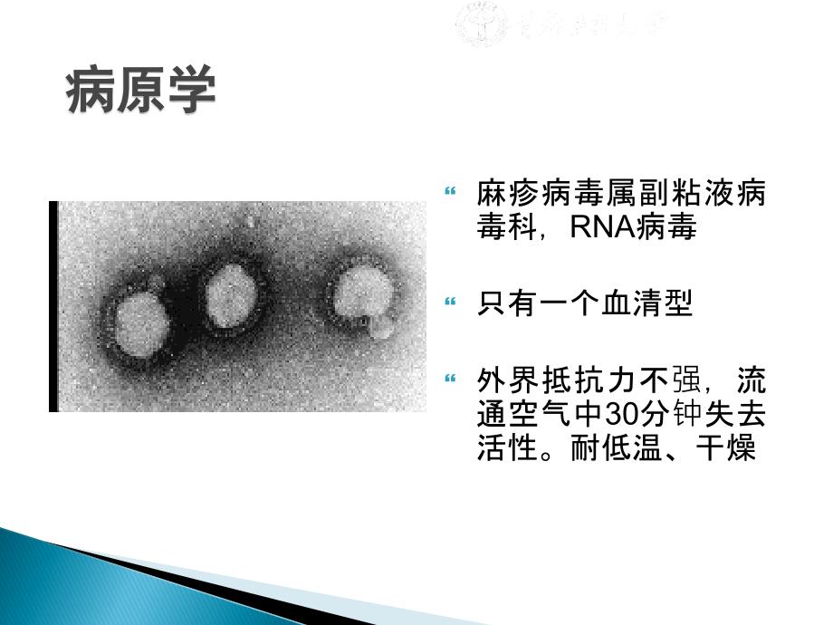 麻疹ppt医学课件课件_第4页