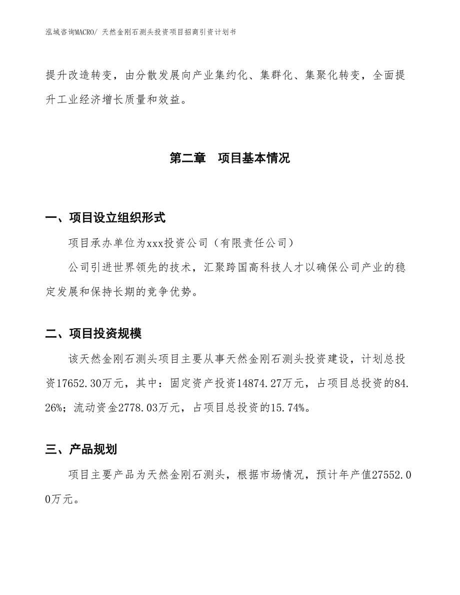 天然金刚石测头投资项目招商引资计划书_第5页