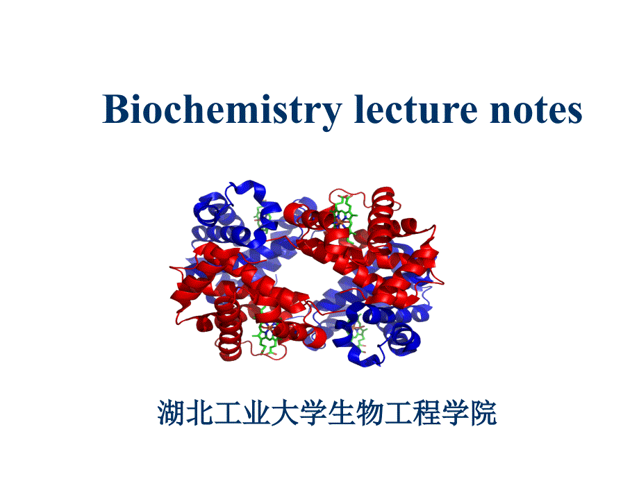 生物化学----绪论-2011_第1页