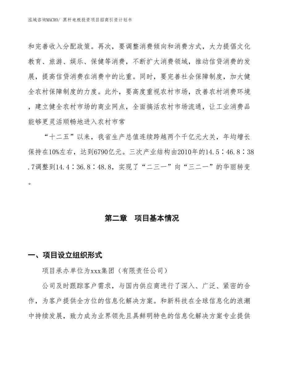 黑杆电极投资项目招商引资计划书_第5页