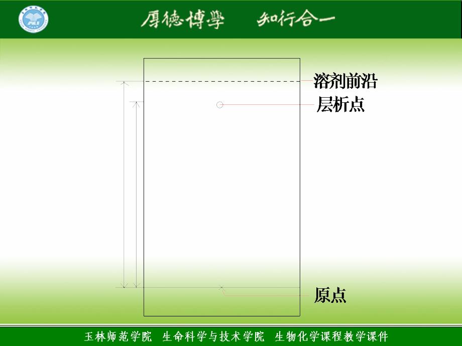 2012秋季期生化理论授课课件1氨基酸纸层析法_第3页