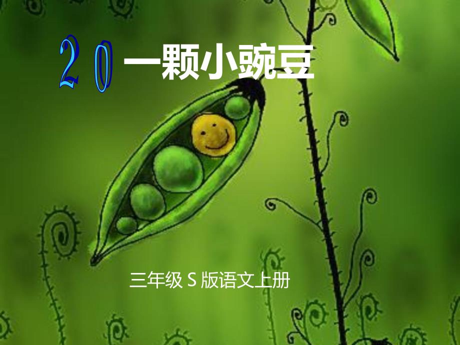 2014语文s版语文三上《一颗小豌豆》ppt课件3_第2页