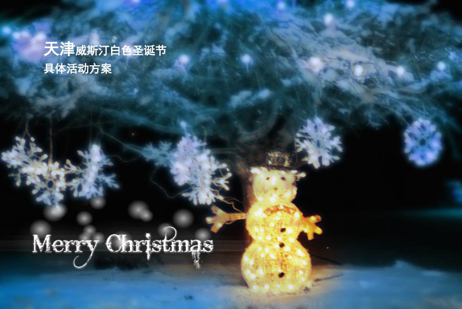 2009年天津君隆广场威斯汀酒店白色圣诞节具体活动方案41p精选_第4页