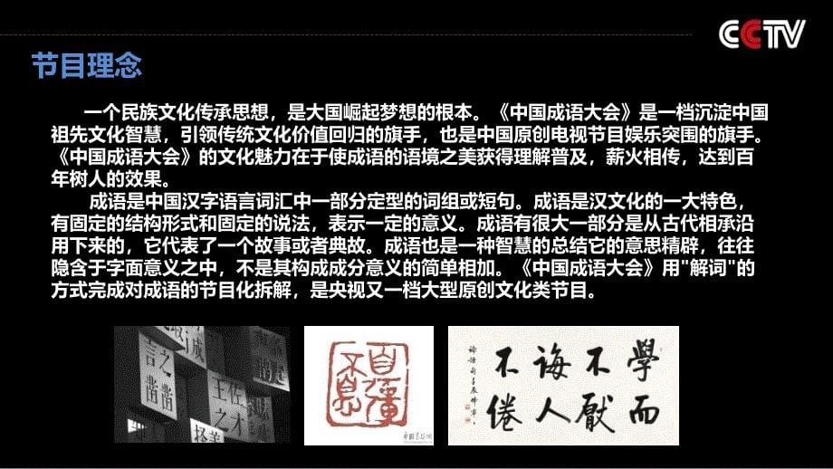 2015年《中国成语大会》招商方案精选_第5页
