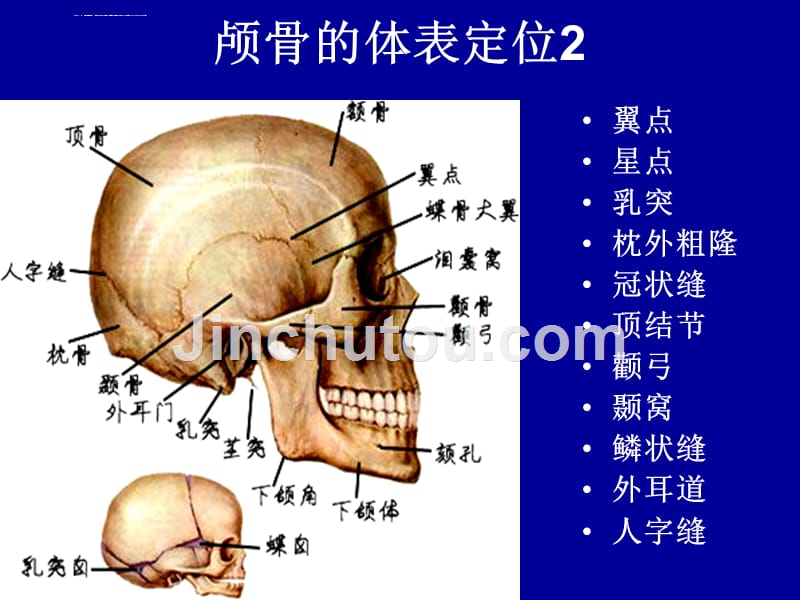 颅脑外伤与解剖课件_第3页