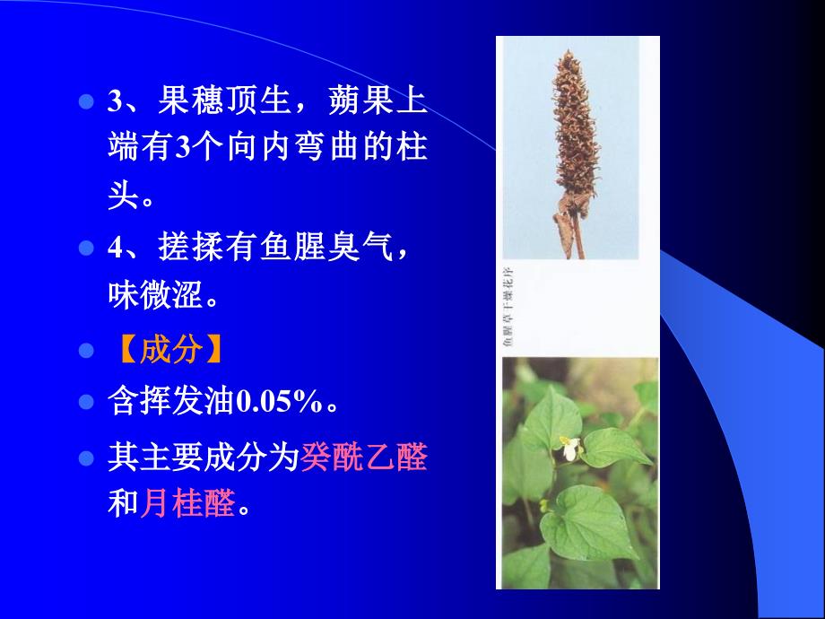 医学精品课件网-全草类中药2课件_第3页