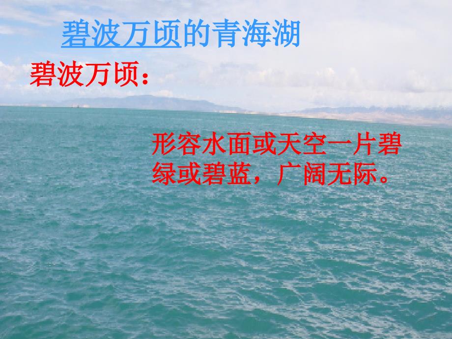 2014秋北京版语文四上《神奇的鸟岛》ppt课件3_第2页
